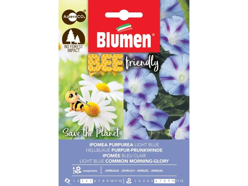 Semi Bee Friendly Ipomea Light Blue
