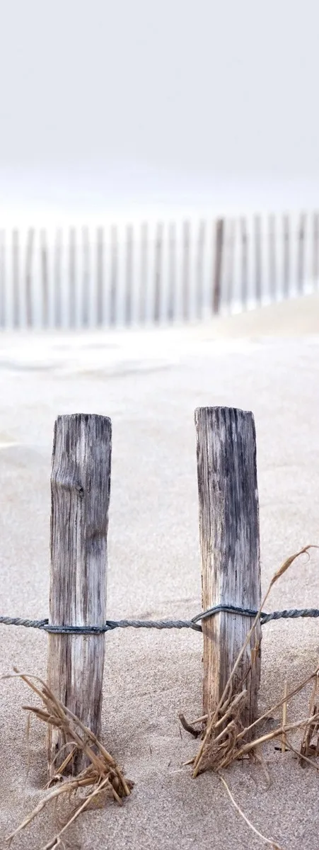 Stampa decorativa Deco Glass Fence In The Dunes 80 cm x 30 cm